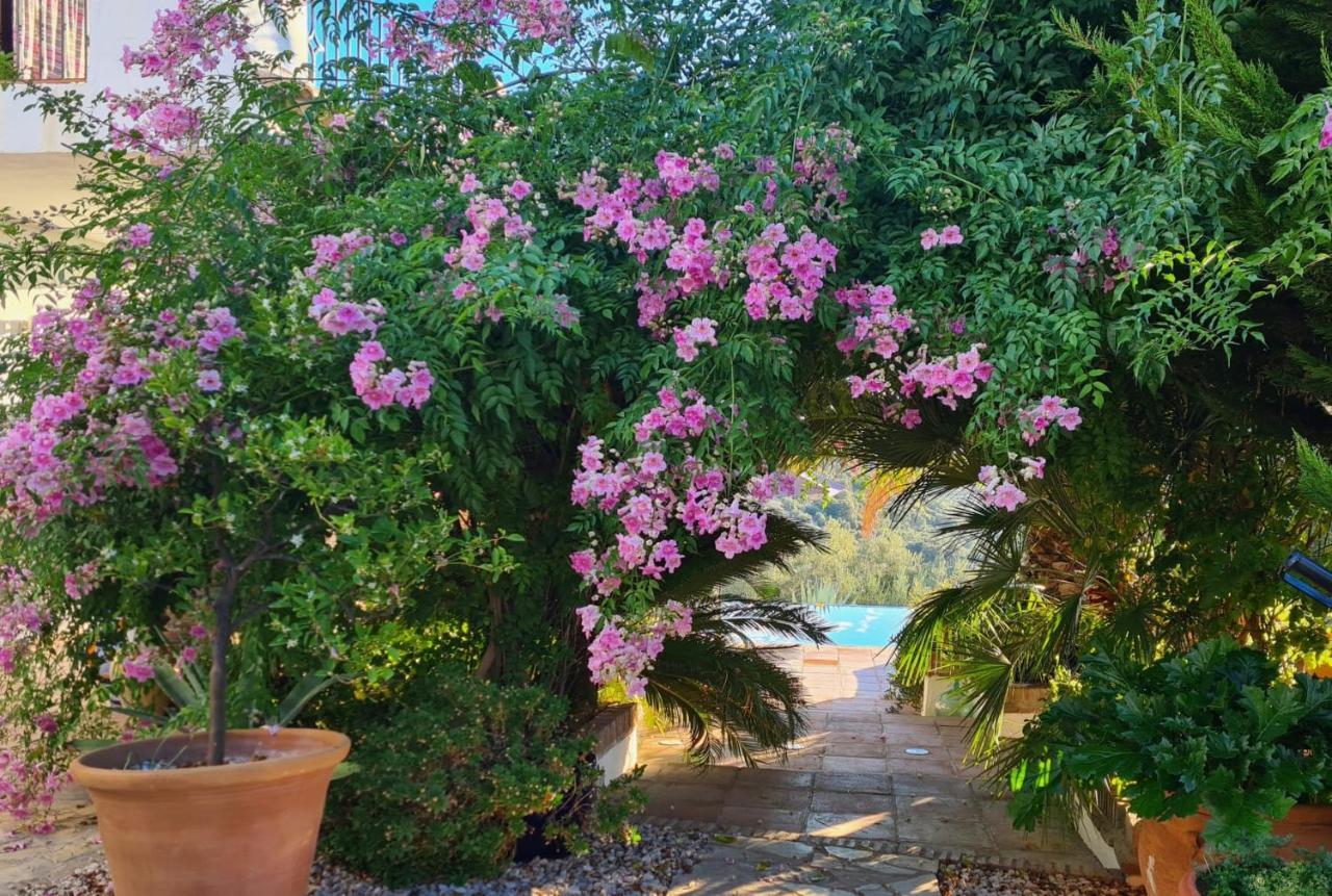 Cortijo La Haza Bed & Breakfast Iznajar Ngoại thất bức ảnh