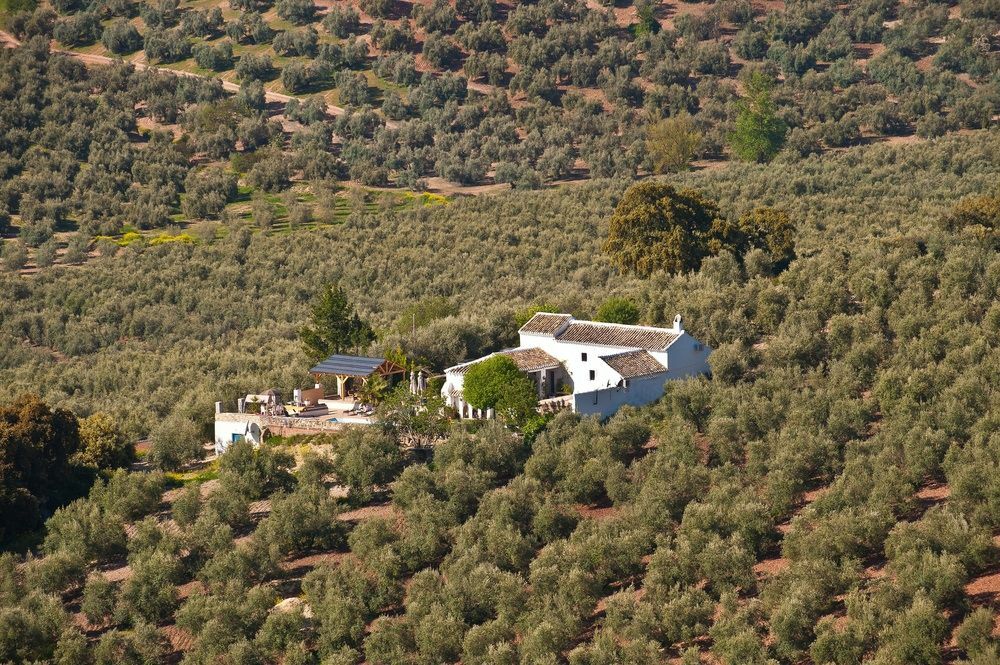 Cortijo La Haza Bed & Breakfast Iznajar Ngoại thất bức ảnh